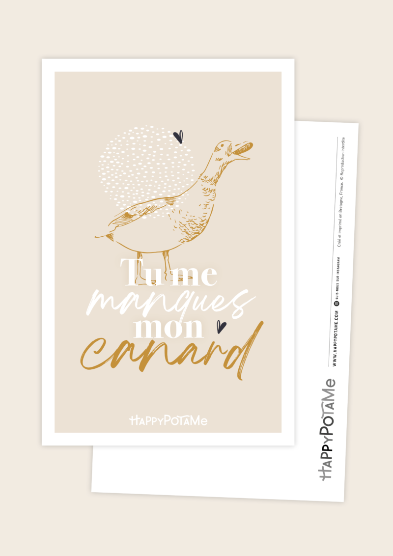 Carte Postale Amour Canard