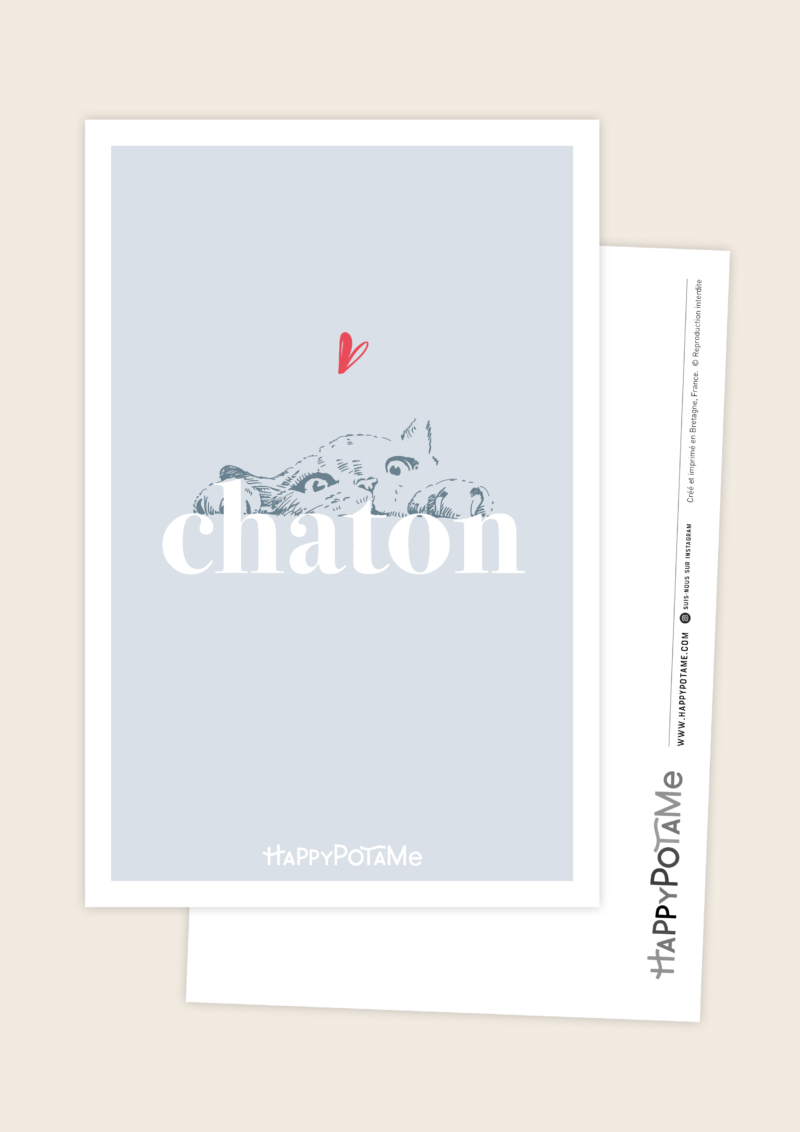 Carte Postale Avec Chaton