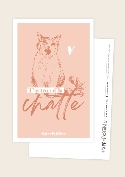 Poster animaux chaton drôle